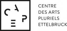 Logo CAPE